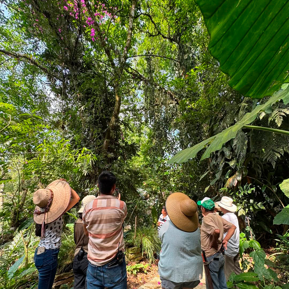 Recorrido Botánico